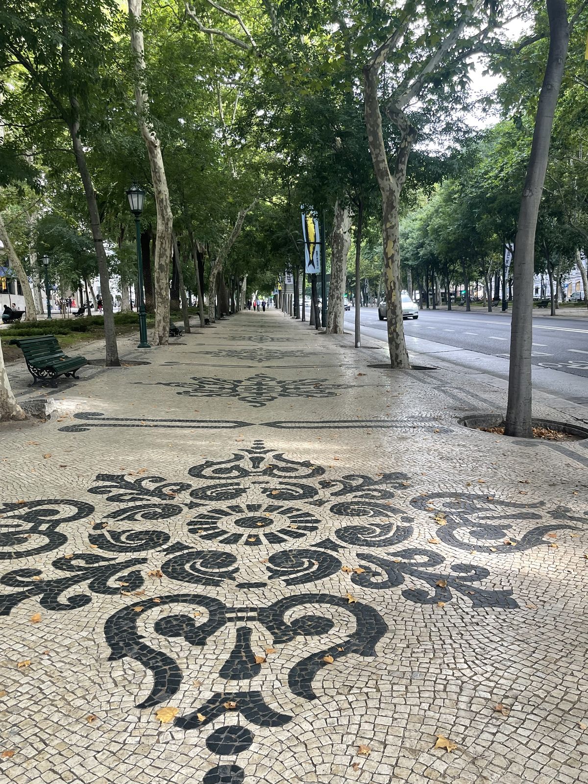 Pedra Portuguesa